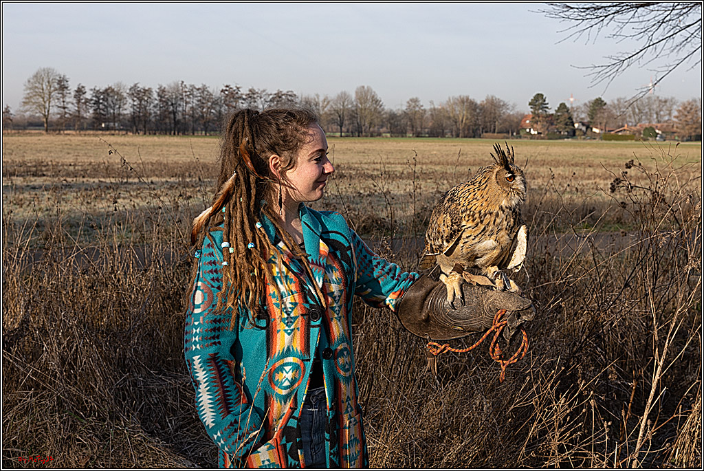 Cheyenne-Halbblut Hunting Wolf in der Falknerei Pierre Schmidt; Gymnich, 09.02.2023